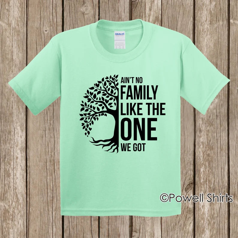 Ain't No Family Like the One We Got  Reunions Tees