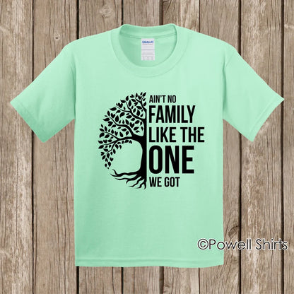 Ain't No Family Like the One We Got  Reunions Tees