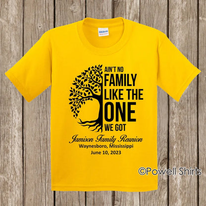 Ain't No Family Like the One We Got  Reunions Tees